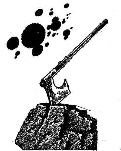 Праздник саранчи i_001.jpg