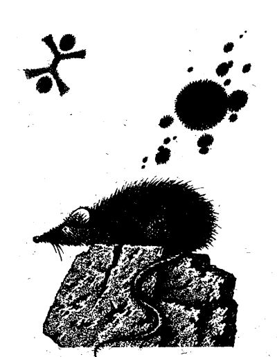 Праздник саранчи i_006.jpg