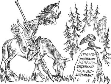 Беседы о вирусах image058.jpg