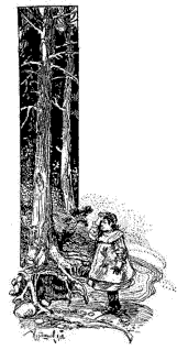Как жила Тася pic_7.png