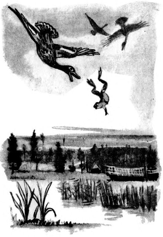 Лягушка-путешественница (с илл.) pic_9.jpg