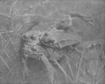 doc2fb_image_02000014.jpeg