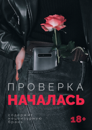 Проверка началась