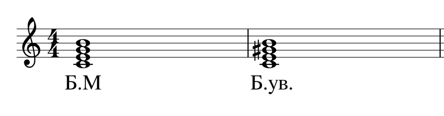 31.jpeg
