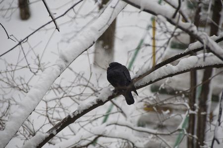 Журнал Компьютерра 11-18.1.2010 i_062.jpg