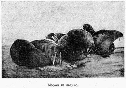 На Советском корабле в Ледовитом океане i_002.jpg