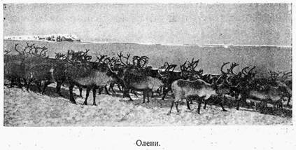 На Советском корабле в Ледовитом океане i_006.jpg
