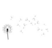 img_3.png