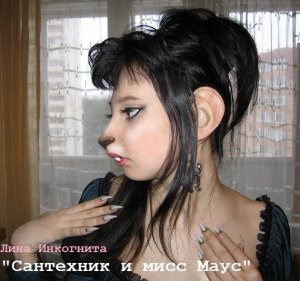 Сантехник и мисс Маус
