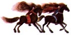 Мордовские народные сказки (сборник) i_155.jpg