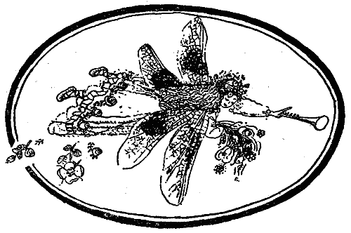 Сказки Шотландские и Английские (Британские легенды и сказки) i_019.png