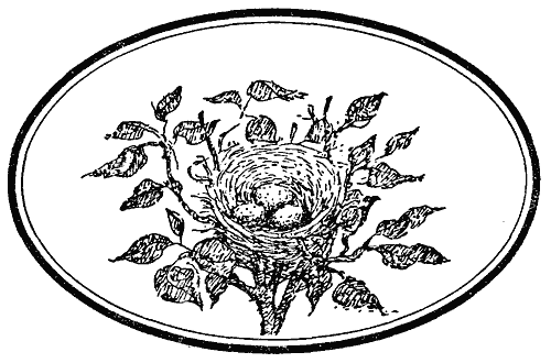 Сказки Шотландские и Английские (Британские легенды и сказки) i_042.png
