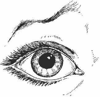 Психология бизнеса: управление эмоциями i_073.png