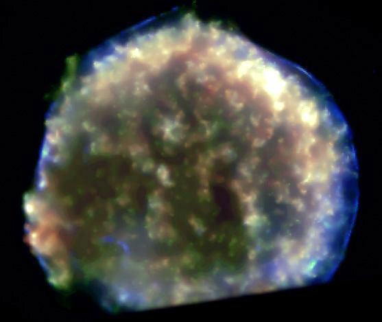 The Star nebulae2.jpg