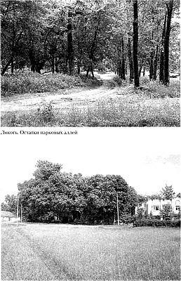 Русское государство в немецком тылу i_005.jpg