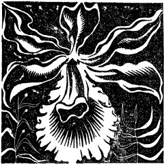 Дарвин и Гексли i_017.png