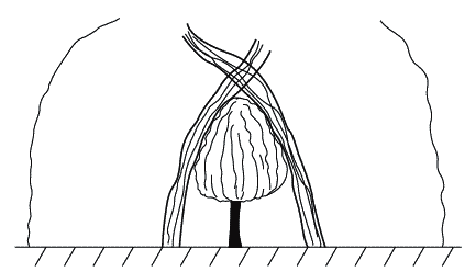 Экстренная помощь при травмах, болевых шоках и воспалениях. Опыт работы в чрезвычайных ситуациях _231.png