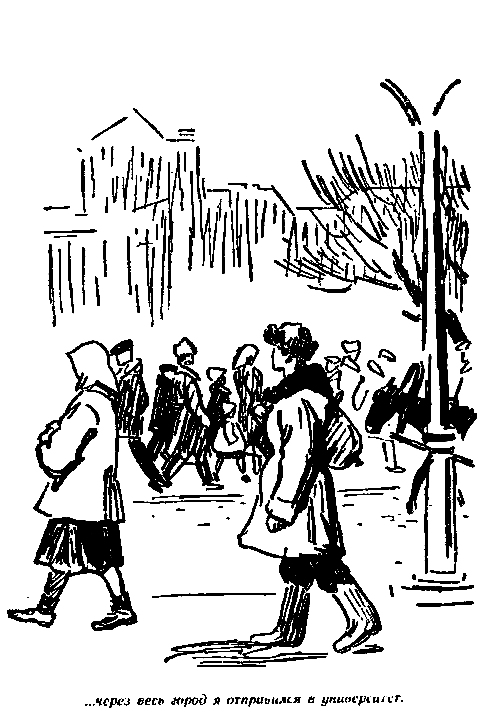 Золотые кувшинки pic_10.png
