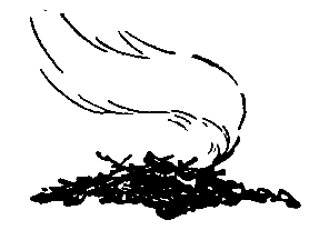 Золотые кувшинки pic_12.png