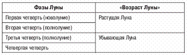 Зеленая аптека Кородецкого: золотой ус, индийский лук, стевия и другие pic_7.png