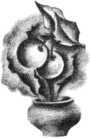 Летучие пленники i_027.jpg