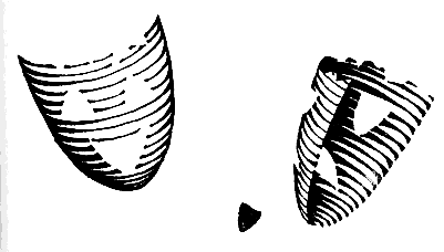 Брызги действительности i_014.png
