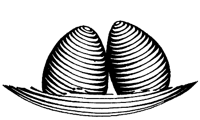Брызги действительности i_018.png