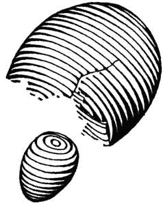 Брызги действительности i_005.png