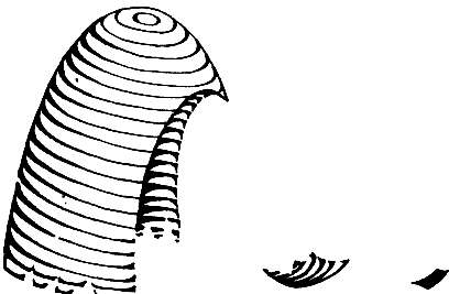 Брызги действительности i_011.png