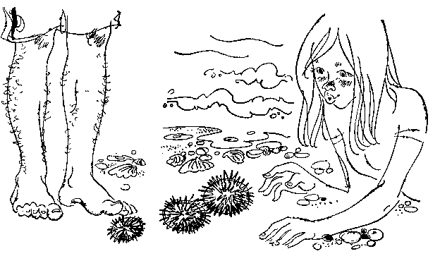Толя, Коля, Оля и Володя здесь были i_006.png