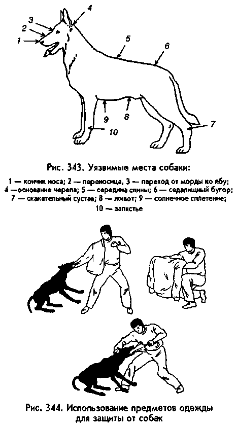 Боевая Машина: Руководство По Самозащите — 3 any2fbimgloader3.png
