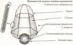 Книга Живы pic_6.jpg