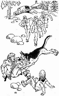 Овчарка Рой. Овчарка Рой и девятый "В" i_008.png