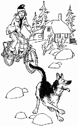 Овчарка Рой. Овчарка Рой и девятый "В" i_010.png