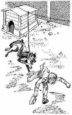 Овчарка Рой. Овчарка Рой и девятый "В" i_016.png