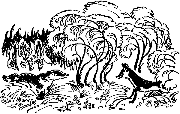 Лесная быль. Рассказы и повести pic003.png
