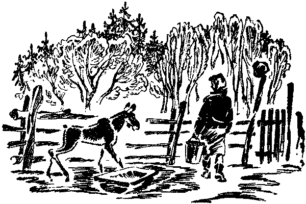 Лесная быль. Рассказы и повести pic014.png