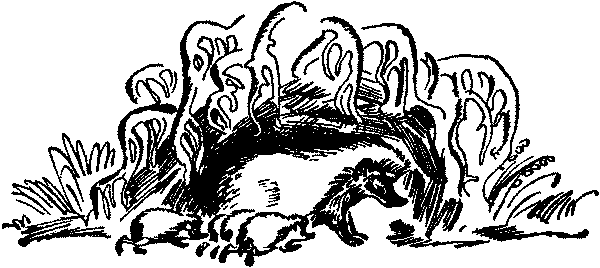Лесная быль. Рассказы и повести pic016.png