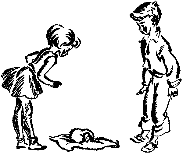 Лесная быль. Рассказы и повести pic017.png