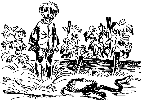 Лесная быль. Рассказы и повести pic018.png