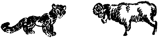Лесная быль. Рассказы и повести pic021.png
