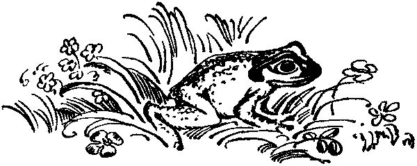 Лесная быль. Рассказы и повести pic022.png