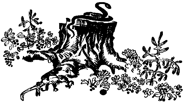 Лесная быль. Рассказы и повести pic028.png