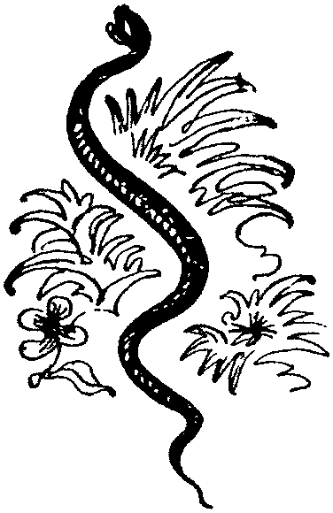 Лесная быль. Рассказы и повести pic030.png
