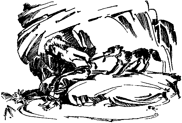 Лесная быль. Рассказы и повести pic033.png