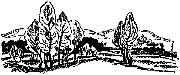 Лесная быль. Рассказы и повести pic034.png