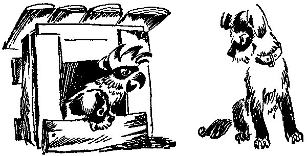 Лесная быль. Рассказы и повести pic037.png