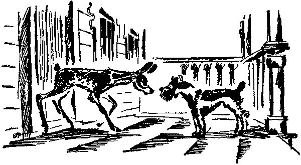Лесная быль. Рассказы и повести pic038.png