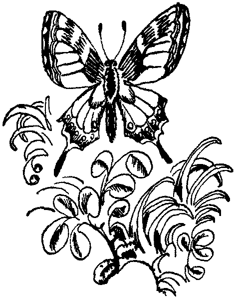 Лесная быль. Рассказы и повести pic040.png