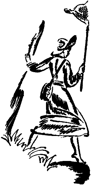 Лесная быль. Рассказы и повести pic042.png